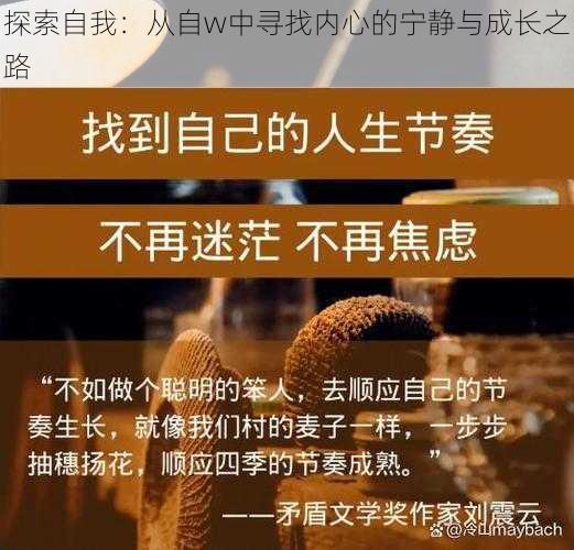 探索自我：从自w中寻找内心的宁静与成长之路