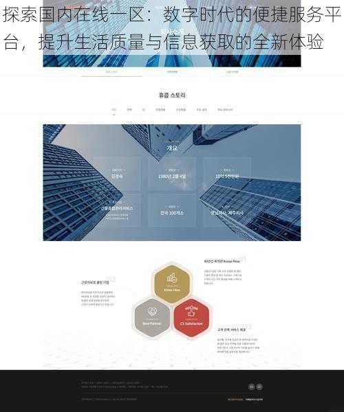 探索国内在线一区：数字时代的便捷服务平台，提升生活质量与信息获取的全新体验