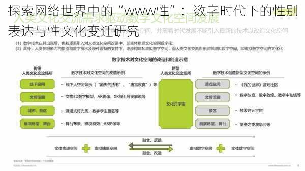 探索网络世界中的“www性”：数字时代下的性别表达与性文化变迁研究