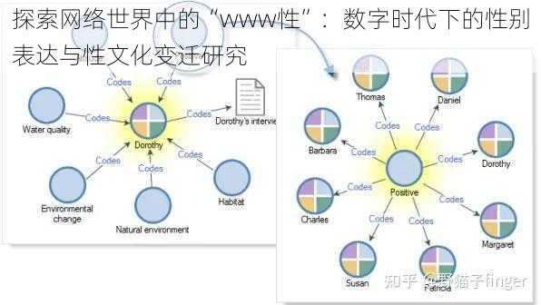 探索网络世界中的“www性”：数字时代下的性别表达与性文化变迁研究