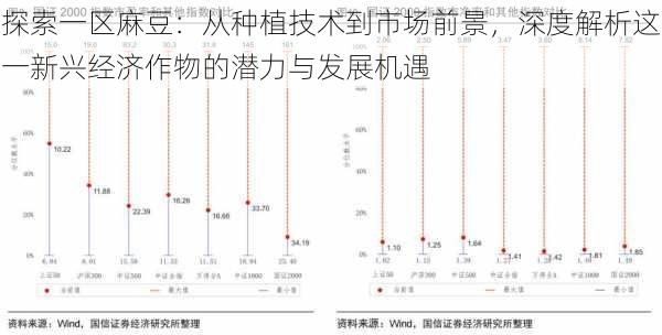 探索一区麻豆：从种植技术到市场前景，深度解析这一新兴经济作物的潜力与发展机遇