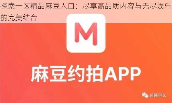探索一区精品麻豆入口：尽享高品质内容与无尽娱乐的完美结合
