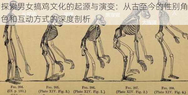 探索男女搞鸡文化的起源与演变：从古至今的性别角色和互动方式的深度剖析