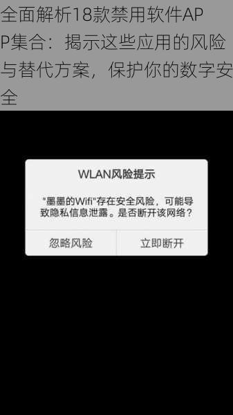 全面解析18款禁用软件APP集合：揭示这些应用的风险与替代方案，保护你的数字安全