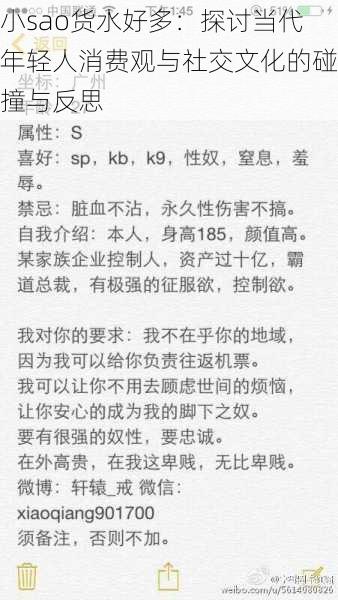 小sao货水好多：探讨当代年轻人消费观与社交文化的碰撞与反思