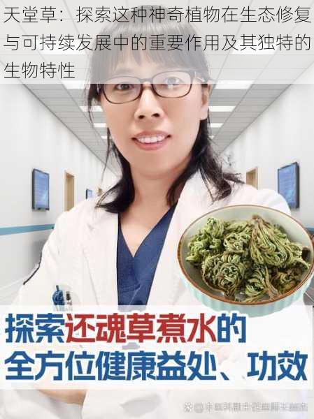 天堂草：探索这种神奇植物在生态修复与可持续发展中的重要作用及其独特的生物特性