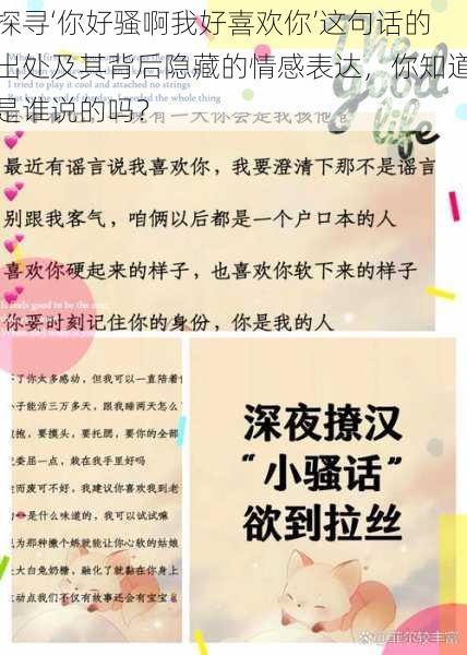 探寻‘你好骚啊我好喜欢你’这句话的出处及其背后隐藏的情感表达，你知道是谁说的吗？