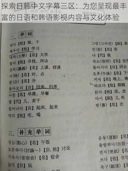 探索日韩中文字幕三区：为您呈现最丰富的日语和韩语影视内容与文化体验