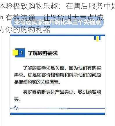 体验极致购物乐趣：在售后服务中如何有效沟通，让'S货叫大声点'成为你的购物利器