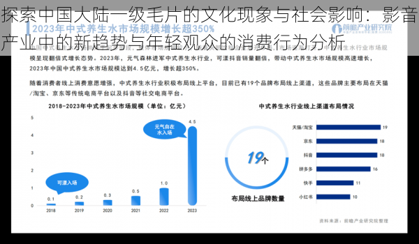 探索中国大陆一级毛片的文化现象与社会影响：影音产业中的新趋势与年轻观众的消费行为分析