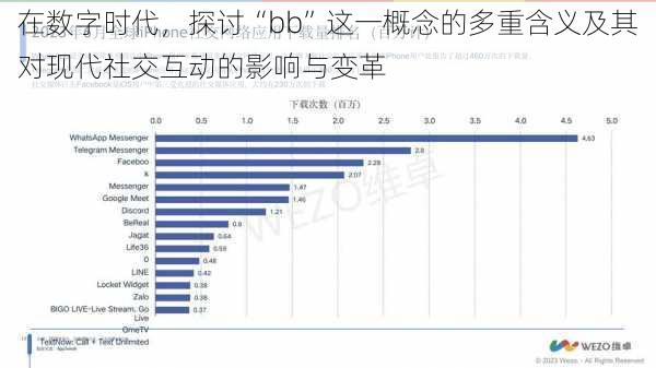 在数字时代，探讨“bb”这一概念的多重含义及其对现代社交互动的影响与变革