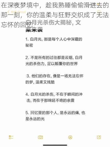 在深夜梦境中，趁我熟睡偷偷滑进去的那一刻，你的温柔与狂野交织成了无法忘怀的回忆