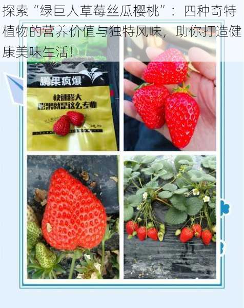 探索“绿巨人草莓丝瓜樱桃”：四种奇特植物的营养价值与独特风味，助你打造健康美味生活！