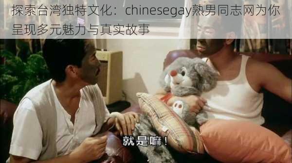 探索台湾独特文化：chinesegay熟男同志网为你呈现多元魅力与真实故事