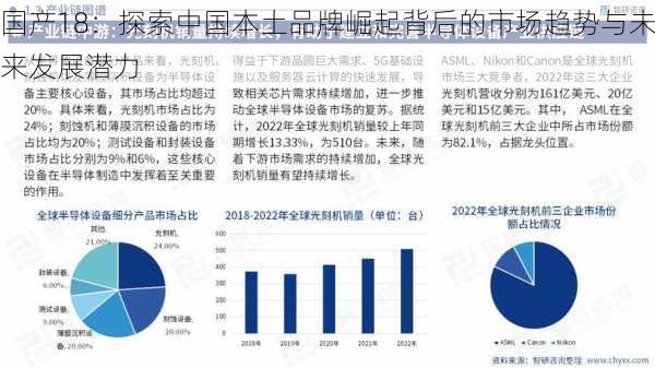 国产18：探索中国本土品牌崛起背后的市场趋势与未来发展潜力