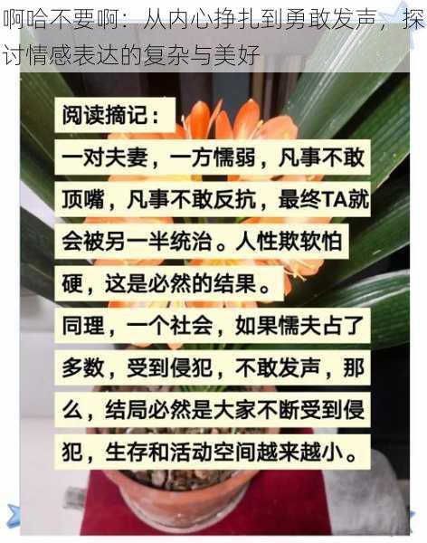 啊哈不要啊：从内心挣扎到勇敢发声，探讨情感表达的复杂与美好