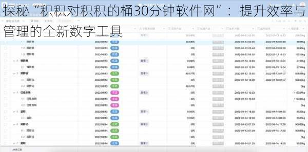 探秘“积积对积积的桶30分钟软件网”：提升效率与管理的全新数字工具