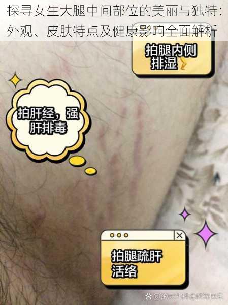 探寻女生大腿中间部位的美丽与独特：外观、皮肤特点及健康影响全面解析