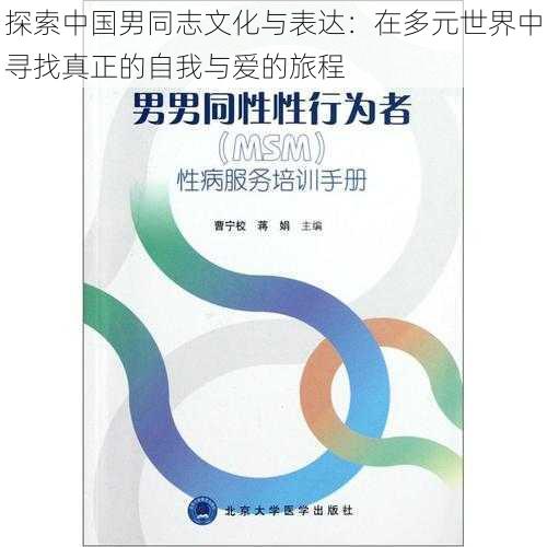 探索中国男同志文化与表达：在多元世界中寻找真正的自我与爱的旅程