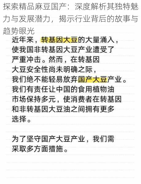 探索精品麻豆国产：深度解析其独特魅力与发展潜力，揭示行业背后的故事与趋势眼光