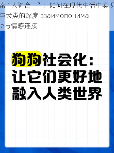 探索“人狗合一”：如何在现代生活中实现人类与犬类的深度 взаимопонимание与情感连接