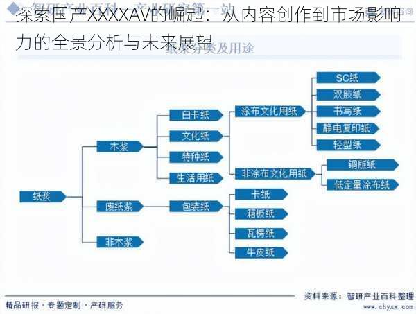 探索国产XXXXAV的崛起：从内容创作到市场影响力的全景分析与未来展望