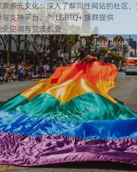 探索多元文化：深入了解同性网站的社区、资源与支持平台，为 LGBTQ+ 族群提供安全空间与交流机会