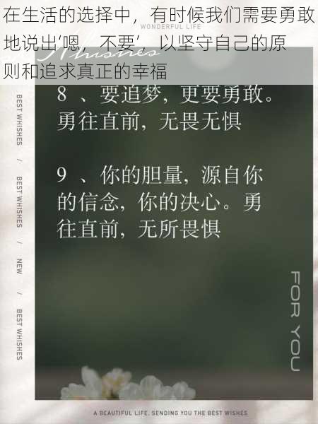 在生活的选择中，有时候我们需要勇敢地说出‘嗯，不要’，以坚守自己的原则和追求真正的幸福