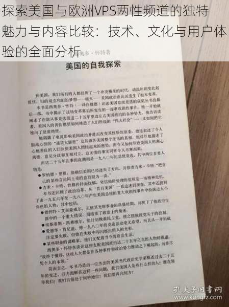 探索美国与欧洲VPS两性频道的独特魅力与内容比较：技术、文化与用户体验的全面分析