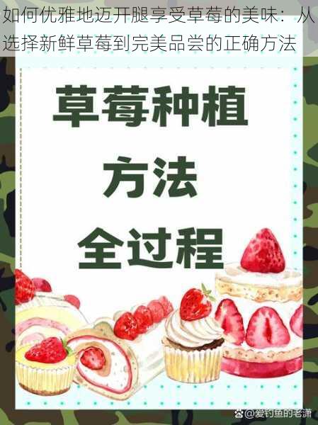 如何优雅地迈开腿享受草莓的美味：从选择新鲜草莓到完美品尝的正确方法