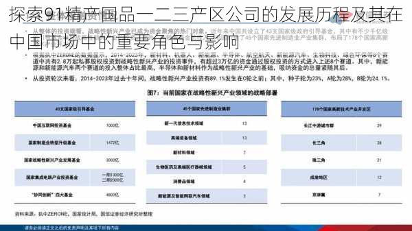 探索91精产国品一二三产区公司的发展历程及其在中国市场中的重要角色与影响