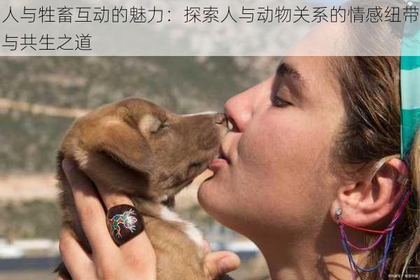 人与牲畜互动的魅力：探索人与动物关系的情感纽带与共生之道