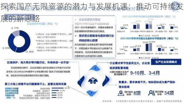 探索国产无限资源的潜力与发展机遇：推动可持续发展的新思路