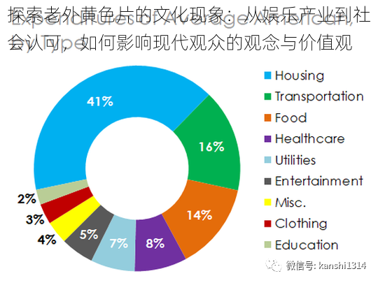 探索老外黄色片的文化现象：从娱乐产业到社会认可，如何影响现代观众的观念与价值观