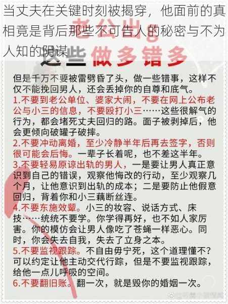 当丈夫在关键时刻被揭穿，他面前的真相竟是背后那些不可告人的秘密与不为人知的阴谋