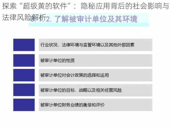 探索“超级黄的软件”：隐秘应用背后的社会影响与法律风险解析