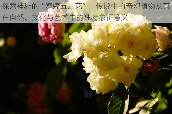 探索神秘的“婷婷五月花”：传说中的奇幻植物及其在自然、文化与艺术中的独特象征意义