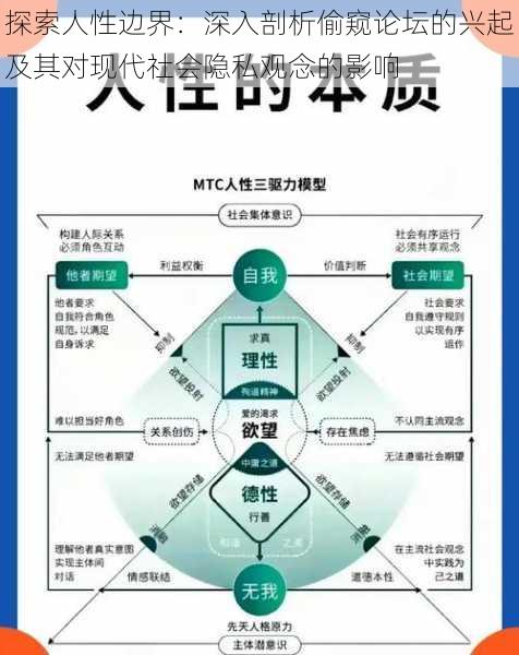 探索人性边界：深入剖析偷窥论坛的兴起及其对现代社会隐私观念的影响