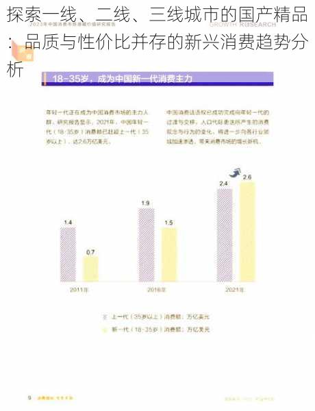 探索一线、二线、三线城市的国产精品：品质与性价比并存的新兴消费趋势分析