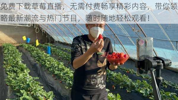 免费下载草莓直播，无需付费畅享精彩内容，带你领略最新潮流与热门节目，随时随地轻松观看！