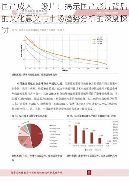 国产成人一级片：揭示国产影片背后的文化意义与市场趋势分析的深度探讨