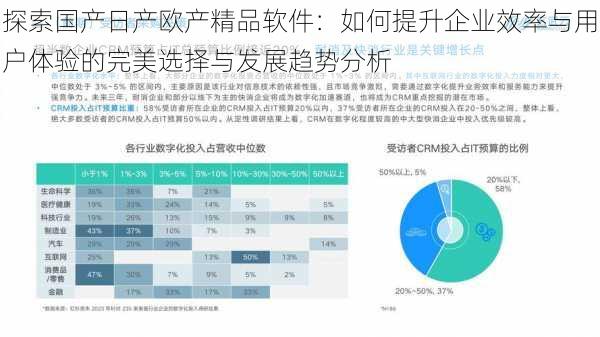 探索国产日产欧产精品软件：如何提升企业效率与用户体验的完美选择与发展趋势分析