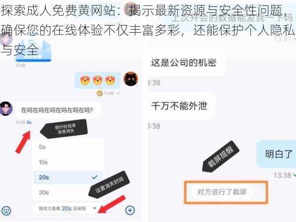 探索成人免费黄网站：揭示最新资源与安全性问题，确保您的在线体验不仅丰富多彩，还能保护个人隐私与安全