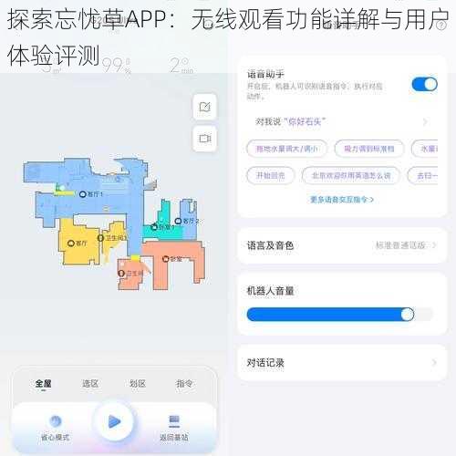 探索忘忧草APP：无线观看功能详解与用户体验评测