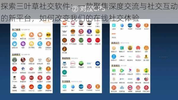 探索三叶草社交软件：一款聚焦深度交流与社交互动的新平台，如何改变我们的在线社交体验