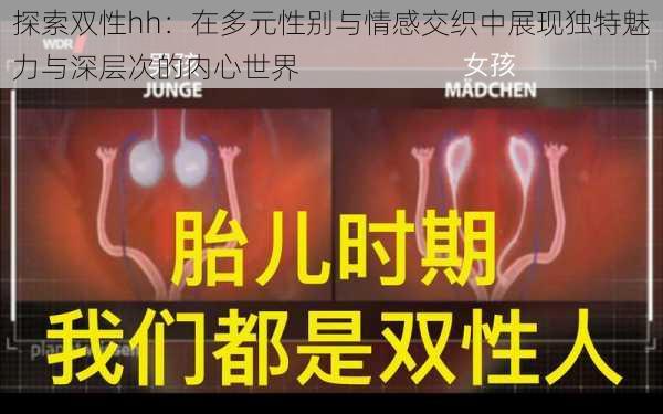 探索双性hh：在多元性别与情感交织中展现独特魅力与深层次的内心世界