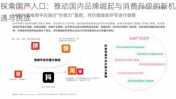 探索国产入口：推动国内品牌崛起与消费升级的新机遇与挑战