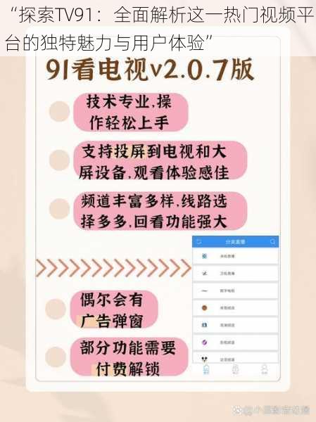 “探索TV91：全面解析这一热门视频平台的独特魅力与用户体验”