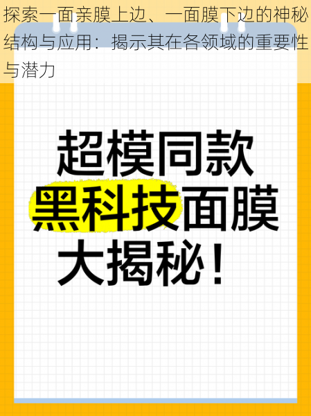 探索一面亲膜上边、一面膜下边的神秘结构与应用：揭示其在各领域的重要性与潜力