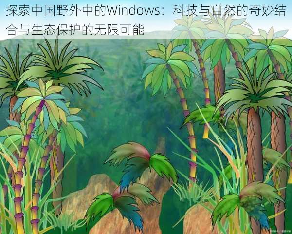 探索中国野外中的Windows：科技与自然的奇妙结合与生态保护的无限可能